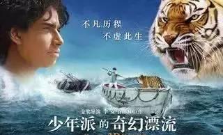 少年派漂流记在线观看,一场跨越生死的海洋之旅  第1张